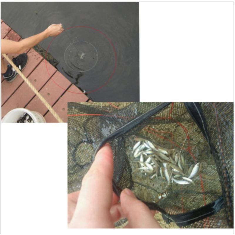 Automatic foldable strengthened fish catcher